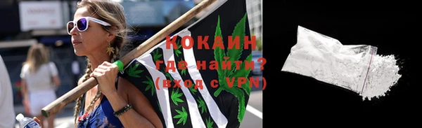 молекула духа Дмитриев