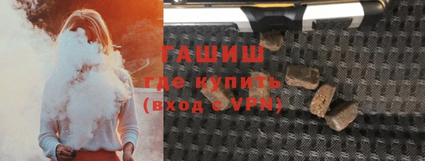 индика Дмитровск