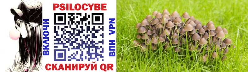 Галлюциногенные грибы MAGIC MUSHROOMS  hydra   Глазов 