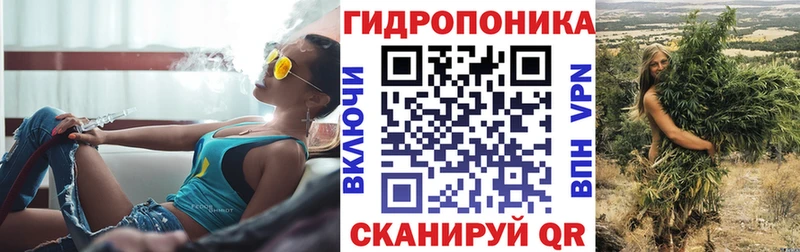 дарнет шоп  Глазов  Конопля MAZAR 
